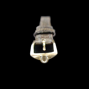 Omega buckle and new lizard strap for womens watch